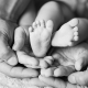 fisioterapia evolutiva