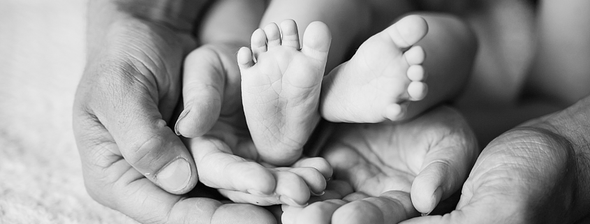 fisioterapia evolutiva