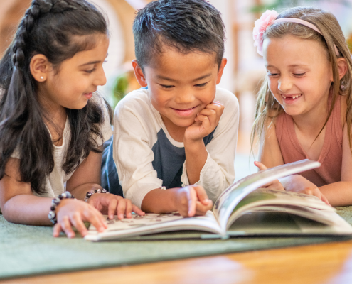 papel sistema vestibular lectura niños